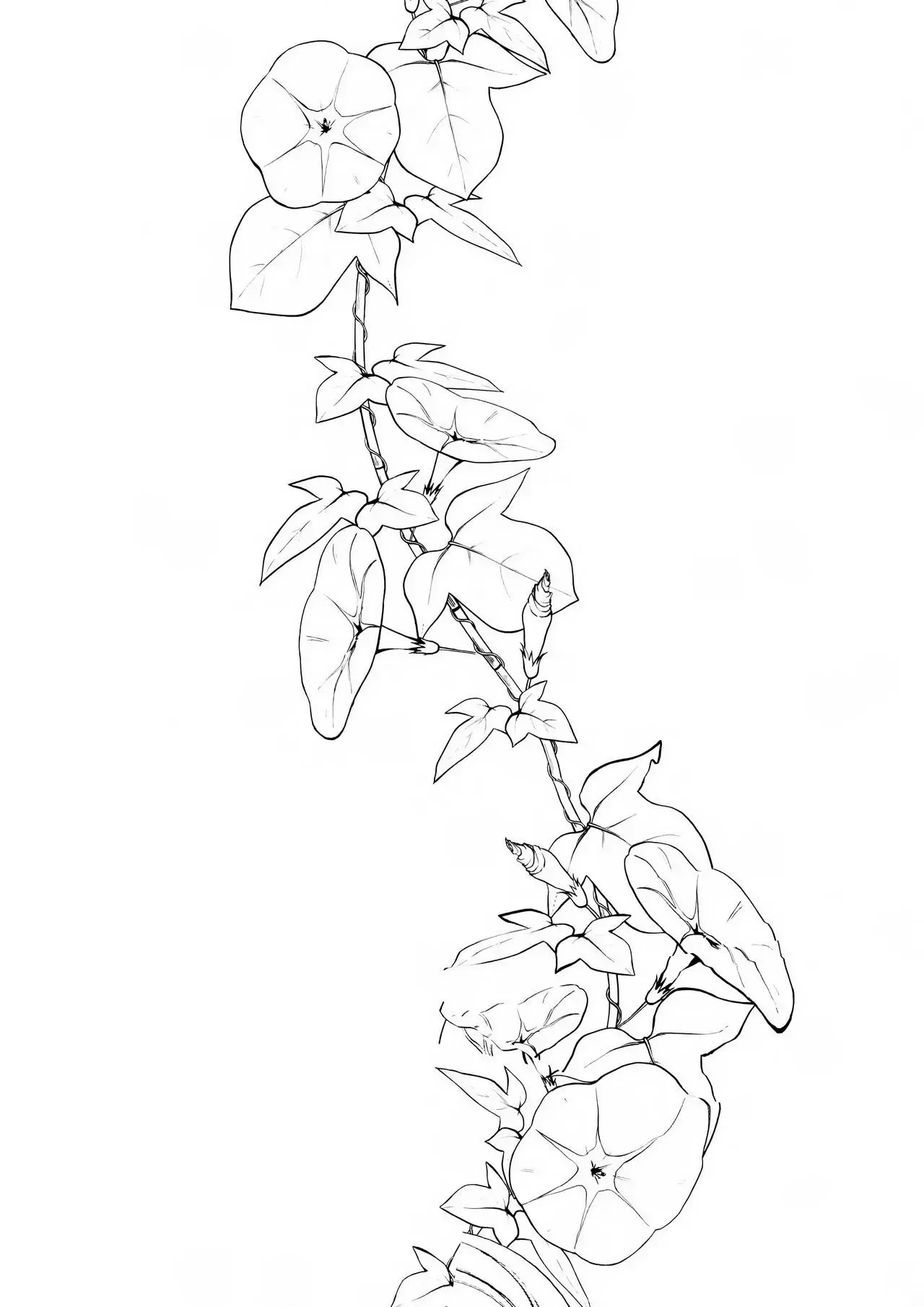 Ane Naru Mono 5